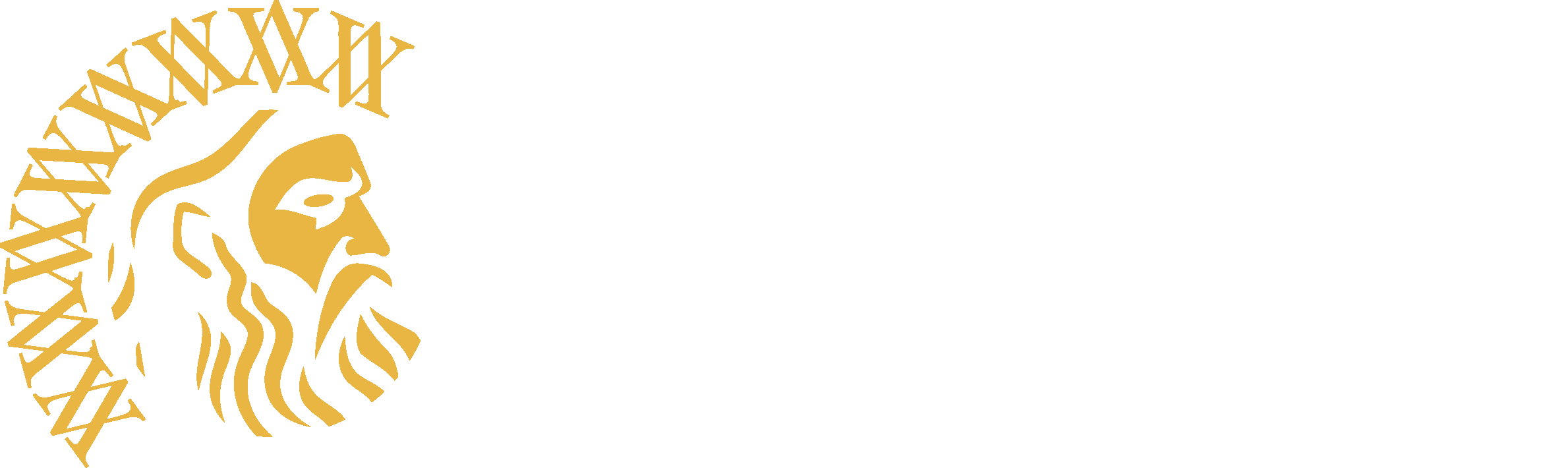 Valor By Golden Hawk Trade LTD